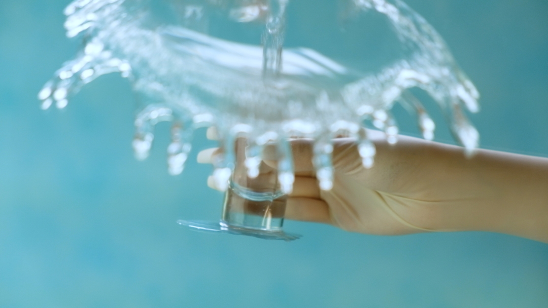 In the Blink of A Pond