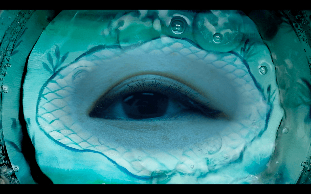 In the Blink of A Pond